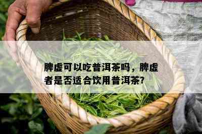 脾虚可以吃普洱茶吗，脾虚者是否适合饮用普洱茶？