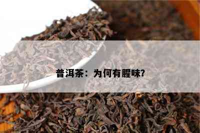 普洱茶：为何有腥味？