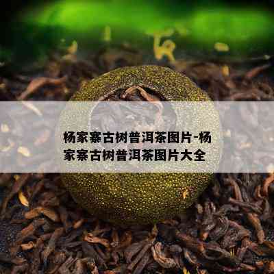 杨家寨古树普洱茶图片-杨家寨古树普洱茶图片大全