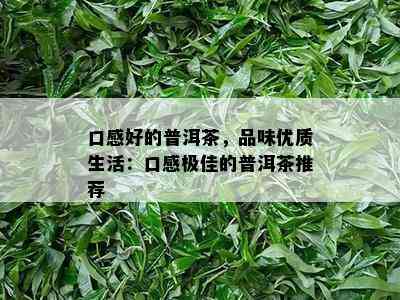 口感好的普洱茶，品味优质生活：口感极佳的普洱茶推荐