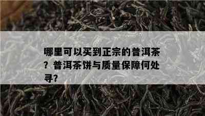 哪里可以买到正宗的普洱茶？普洱茶饼与质量保障何处寻？