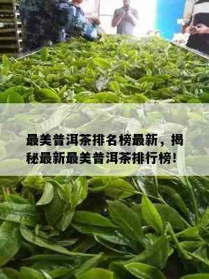 最美普洱茶排名榜最新，揭秘最新最美普洱茶排行榜！