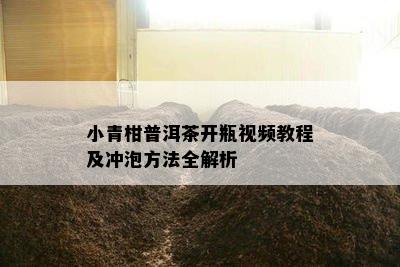 小青柑普洱茶开瓶视频教程及冲泡方法全解析