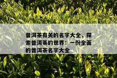 普洱茶有关的名字大全，探索普洱茶的世界：一份全面的普洱茶名字大全