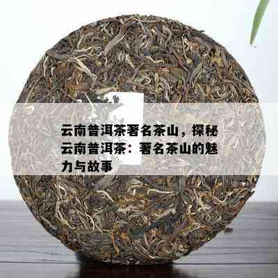 云南普洱茶著名茶山，探秘云南普洱茶：著名茶山的魅力与故事