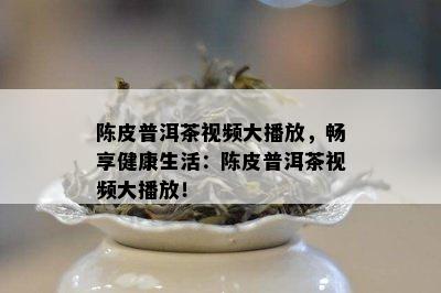 陈皮普洱茶视频大播放，畅享健康生活：陈皮普洱茶视频大播放！