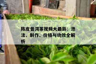 陈皮普洱茶视频大最新：泡法、制作、价格与功效全解析