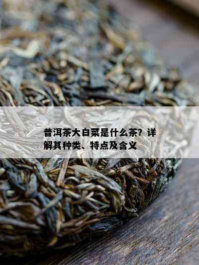 普洱茶大白菜是什么茶？详解其种类、特点及含义