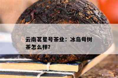 云南茗星号茶业：冰岛母树茶怎么样？