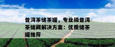 普洱茶储茶罐，专业级普洱茶储藏解决方案：优质储茶罐推荐