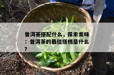 普洱茶搭配什么，探索美味：普洱茶的更佳搭档是什么？