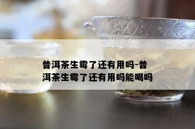 普洱茶生霉了还有用吗-普洱茶生霉了还有用吗能喝吗