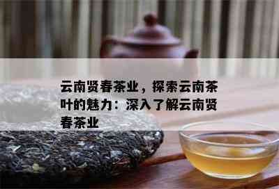 云南贤春茶业，探索云南茶叶的魅力：深入了解云南贤春茶业