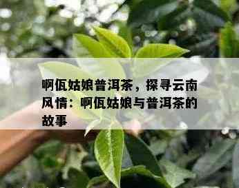 啊佤姑娘普洱茶，探寻云南风情：啊佤姑娘与普洱茶的故事