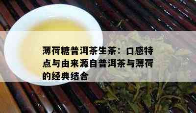 薄荷糖普洱茶生茶：口感特点与由来源自普洱茶与薄荷的经典结合