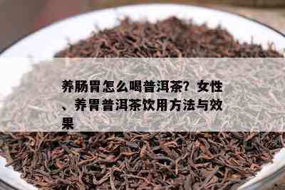 养肠胃怎么喝普洱茶？女性、养胃普洱茶饮用方法与效果