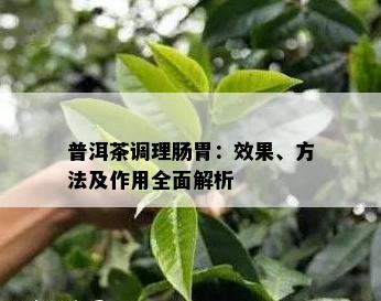 普洱茶调理肠胃：效果、方法及作用全面解析