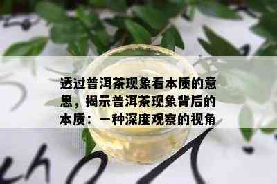 透过普洱茶现象看本质的意思，揭示普洱茶现象背后的本质：一种深度观察的视角