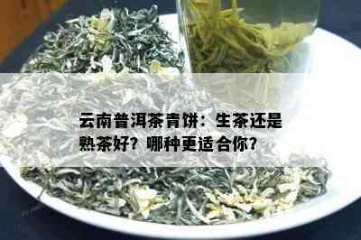 云南普洱茶青饼：生茶还是熟茶好？哪种更适合你？