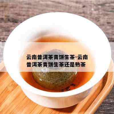 云南普洱茶青饼生茶-云南普洱茶青饼生茶还是熟茶