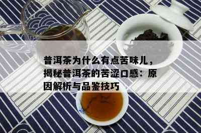 普洱茶为什么有点苦味儿，揭秘普洱茶的苦涩口感：原因解析与品鉴技巧