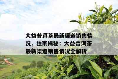 大益普洱茶最新渠道销售情况，独家揭秘：大益普洱茶最新渠道销售情况全解析