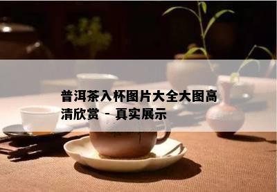 普洱茶入杯图片大全大图高清欣赏 - 真实展示