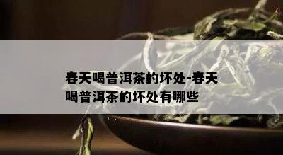 春天喝普洱茶的坏处-春天喝普洱茶的坏处有哪些