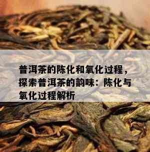 普洱茶的陈化和氧化过程，探索普洱茶的韵味：陈化与氧化过程解析