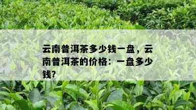 云南普洱茶多少钱一盘，云南普洱茶的价格：一盘多少钱？