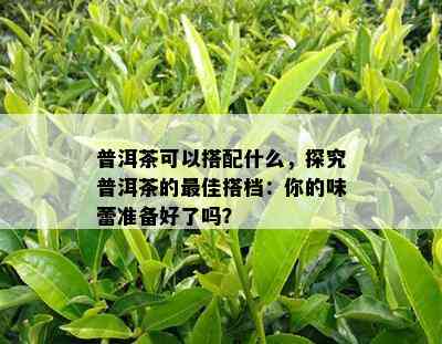 普洱茶可以搭配什么，探究普洱茶的更佳搭档：你的味蕾准备好了吗？