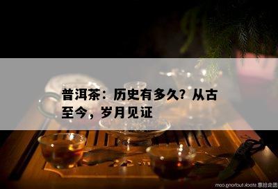 普洱茶：历史有多久？从古至今，岁月见证