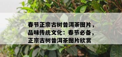 春节正宗古树普洱茶图片，品味传统文化：春节必备，正宗古树普洱茶图片欣赏