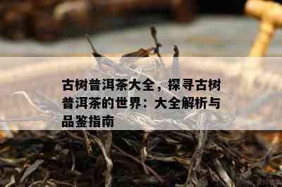 古树普洱茶大全，探寻古树普洱茶的世界：大全解析与品鉴指南