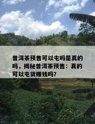 普洱茶预售可以屯吗是真的吗，揭秘普洱茶预售：真的可以屯货赚钱吗？