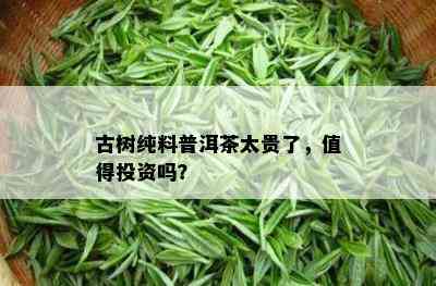 古树纯料普洱茶太贵了，值得投资吗？