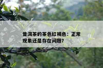 普洱茶的茶色红褐色：正常现象还是存在问题？