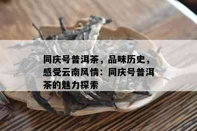 同庆号普洱茶，品味历史，感受云南风情：同庆号普洱茶的魅力探索