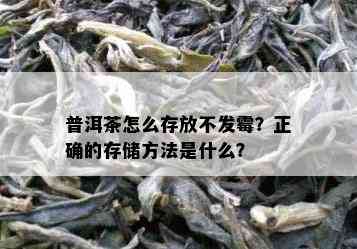 普洱茶怎么存放不发霉？正确的存储方法是什么？