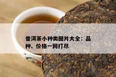 普洱茶小种类图片大全：品种、价格一网打尽