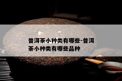 普洱茶小种类有哪些-普洱茶小种类有哪些品种