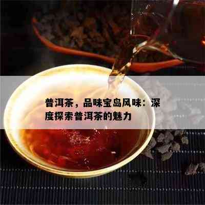 普洱茶，品味宝岛风味：深度探索普洱茶的魅力