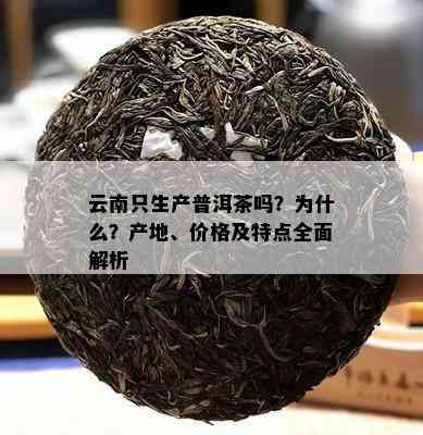 云南只生产普洱茶吗？为什么？产地、价格及特点全面解析