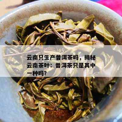 云南只生产普洱茶吗，揭秘云南茶叶：普洱茶只是其中一种吗？