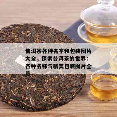 普洱茶各种名字和包装图片大全，探索普洱茶的世界：各种名称与精美包装图片全览