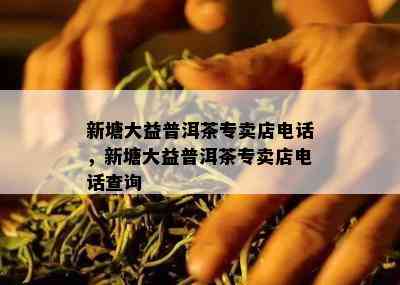 新塘大益普洱茶专卖店电话，新塘大益普洱茶专卖店电话查询