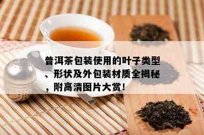 普洱茶包装使用的叶子类型、形状及外包装材质全揭秘，附高清图片大赏！