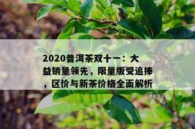 2020普洱茶双十一：大益销量领先， *** 版受追捧，区价与新茶价格全面解析