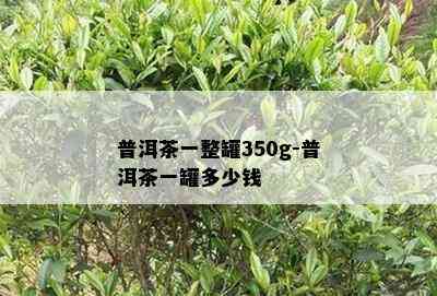 普洱茶一整罐350g-普洱茶一罐多少钱