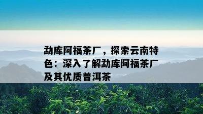 勐库阿福茶厂，探索云南特色：深入了解勐库阿福茶厂及其优质普洱茶